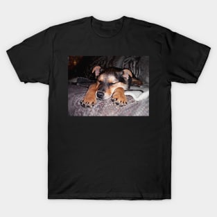 Sweet Sleeping Shepard Puppy T-Shirt